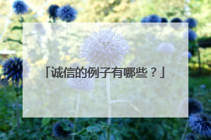 诚信的例子有哪些?