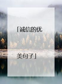 诚信的优美句子