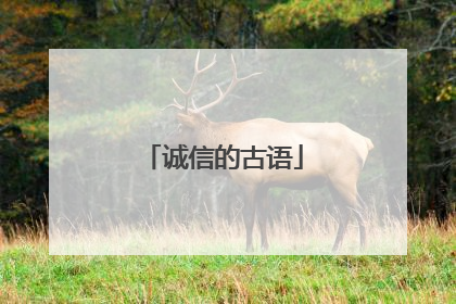 诚信的古语