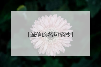 诚信的名句摘抄