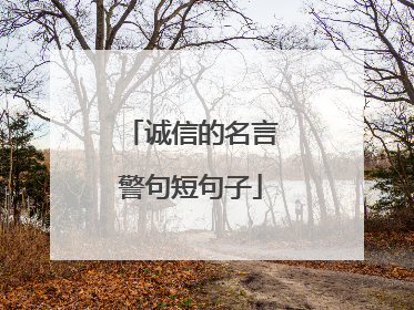 诚信的名言警句短句子