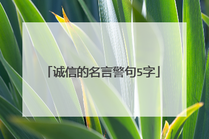 诚信的名言警句5字