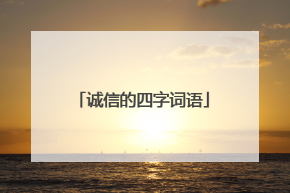 诚信的四字词语