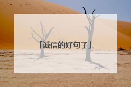 诚信的好句子