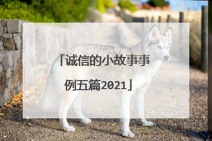 诚信的小故事事例五篇2021