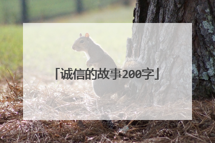 诚信的故事200字