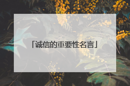 诚信的重要性名言