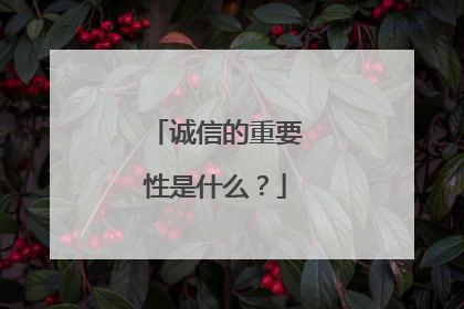 诚信的重要性是什么？