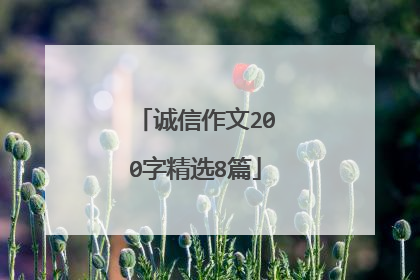 诚信作文200字精选8篇