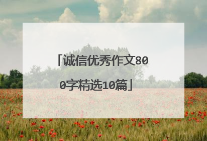 诚信优秀作文800字精选10篇