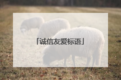 诚信友爱标语