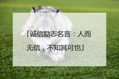 诚信励志名言:人而无信,不知其可也