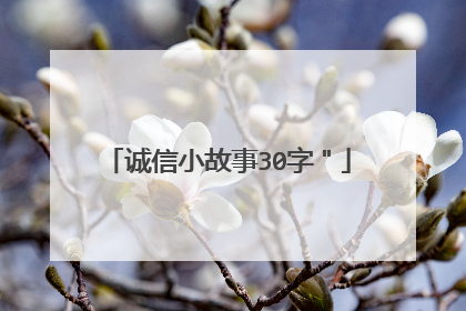 诚信小故事30字"