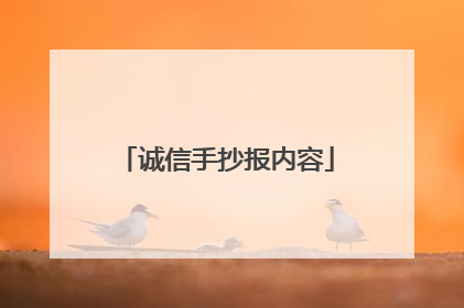 诚信手抄报内容