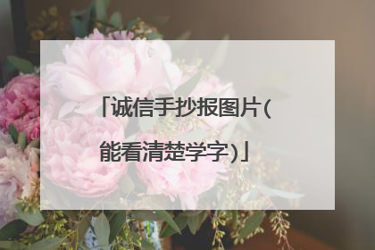 诚信手抄报图片(能看清楚学字)