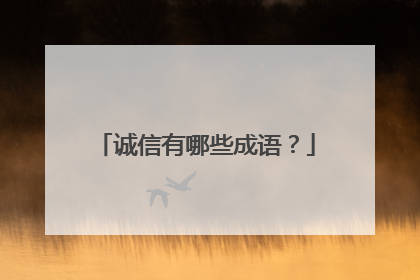 诚信有哪些成语?