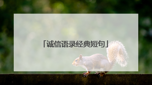 诚信语录经典短句