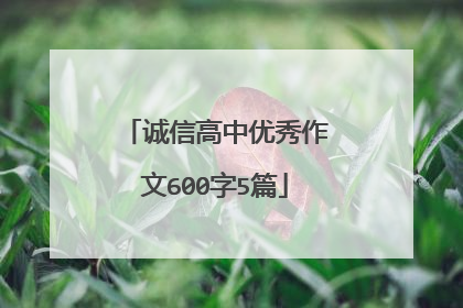 诚信高中优秀作文600字5篇