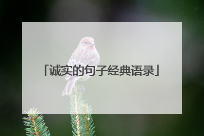 诚实的句子经典语录