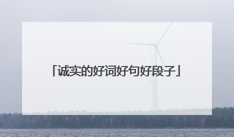 诚实的好词好句好段子