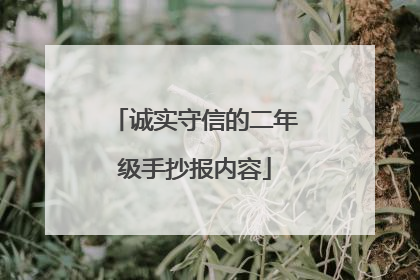 诚实守信的二年级手抄报内容