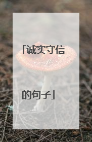诚实守信的句子
