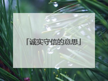 诚实守信的意思