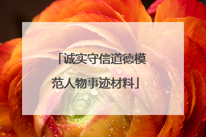 诚实守信道德模范人物事迹材料