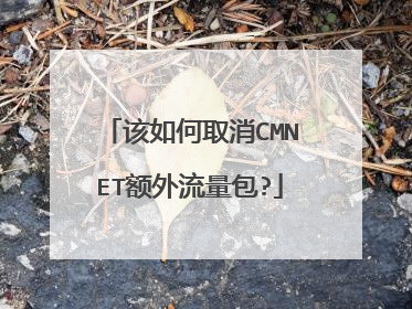 该如何取消CMNET额外流量包?