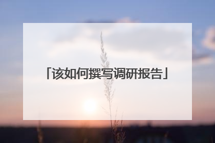 该如何撰写调研报告