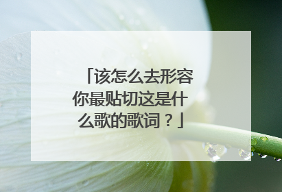 该怎么去形容你最贴切这是什么歌的歌词?