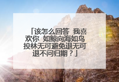 该怎么回答 我喜欢你 如鲸向海如鸟投林无可避免退无可退不问归期？