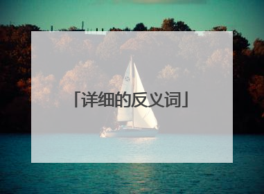 详细的反义词