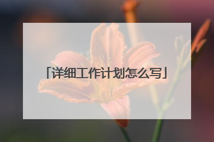 详细工作计划怎么写