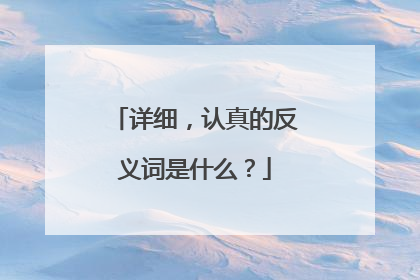 详细，认真的反义词是什么？