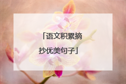 语文积累摘抄优美句子