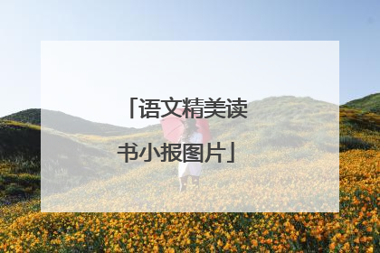 语文精美读书小报图片