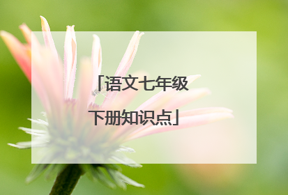 语文七年级下册知识点