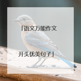 语文万能作文开头优美句子