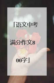 语文中考满分作文800字