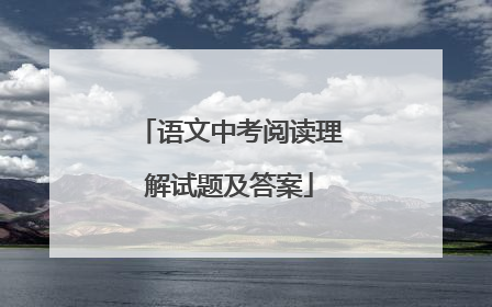 语文中考阅读理解试题及答案