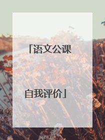 语文公课自我评价