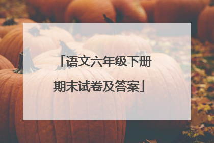 语文六年级下册期末试卷及答案