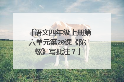语文四年级上册第六单元第20课《陀螺》写批注?