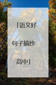 语文好句子摘抄高中