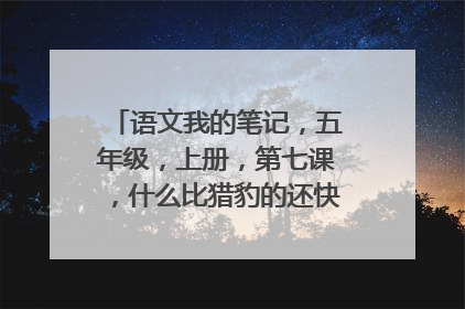 语文我的笔记，五年级，上册，第七课，什么比猎豹的还快的单词有哪些？