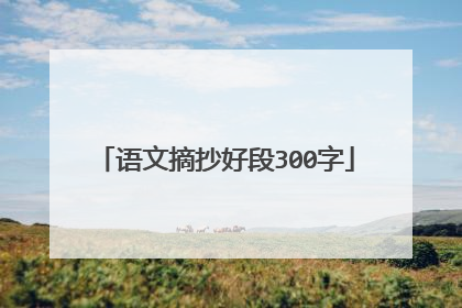 语文摘抄好段300字