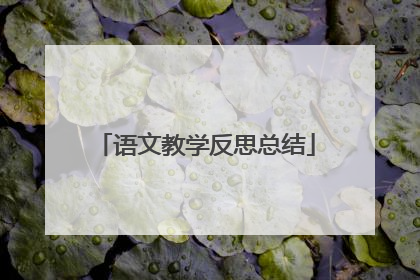 语文教学反思总结