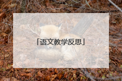 语文教学反思