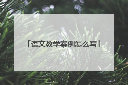语文教学案例怎么写